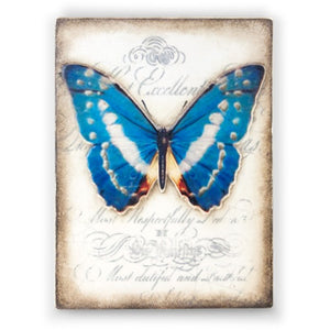 T373 Metamorphosis