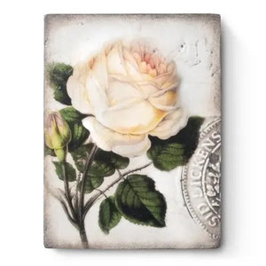 T374 Sweet Rose