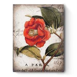 T404 Red Camelia RET