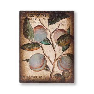 RLE04 Limited Edition