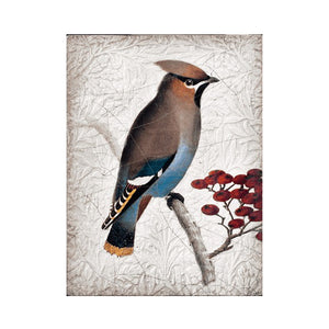T485  Waxwing