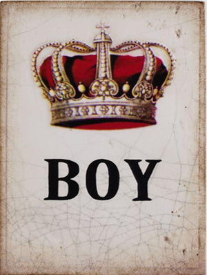 T284 Boy   RETIRED