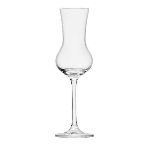 Schott Zwiesel Tritan Bar Special Martini Glasses