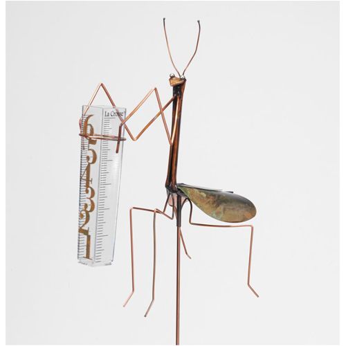 RAIN GAUGE PRAYING MANTIS